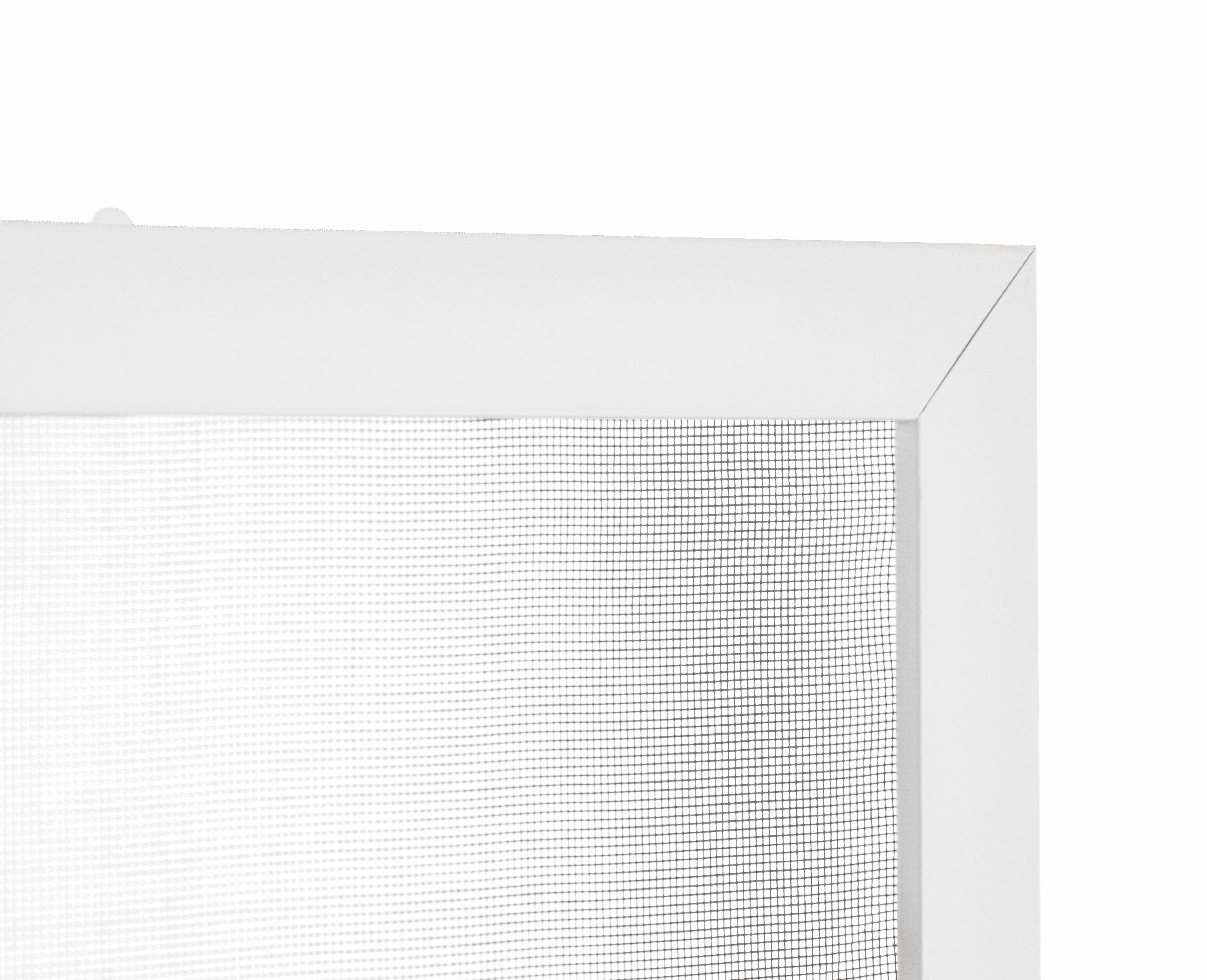 DSC_0213-EditBezLoga.png