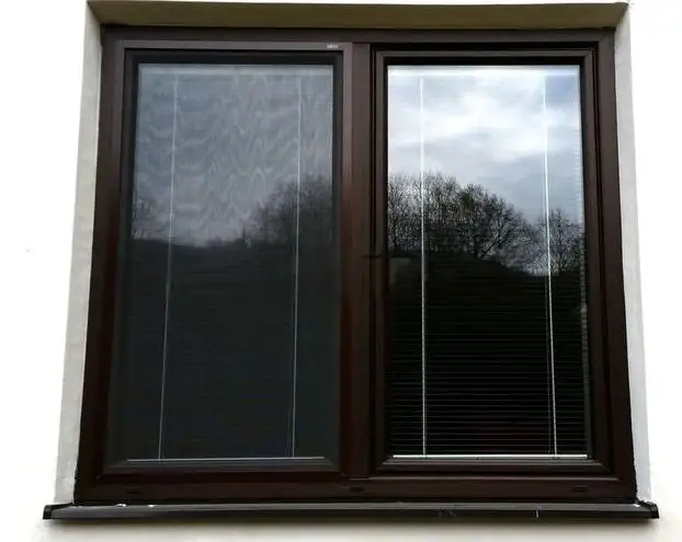 wmremove-transformed (5).jpeg